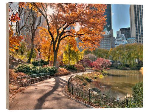 Wood print Central park