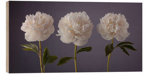 Cuadro de madera Beautiful Peonies