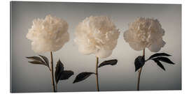 Tableau en plexi-alu Three white Peonies