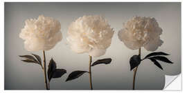 Wall sticker Three white Peonies