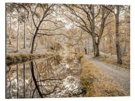 Tableau en aluminium Forest path with canal