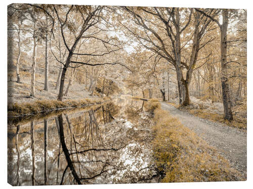 Canvastavla Forest path with canal