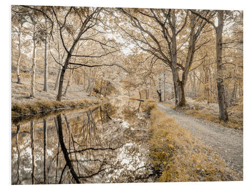 Stampa su PVC Forest path with canal