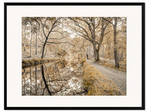 Kunsttryk i ramme Forest path with canal