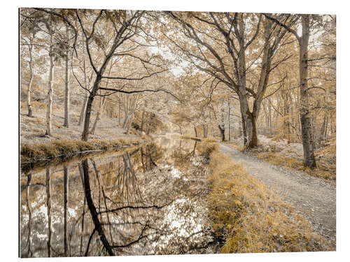 Gallery Print Waldweg mit Kanal