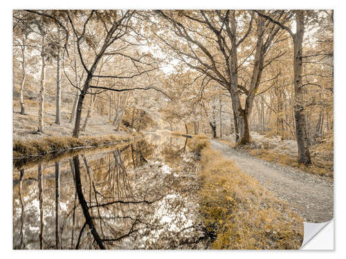 Wall sticker Forest path with canal