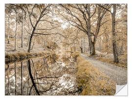 Selvklebende plakat Forest path with canal