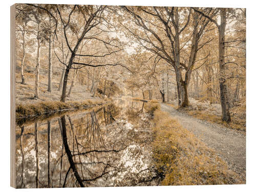 Quadro de madeira Forest path with canal