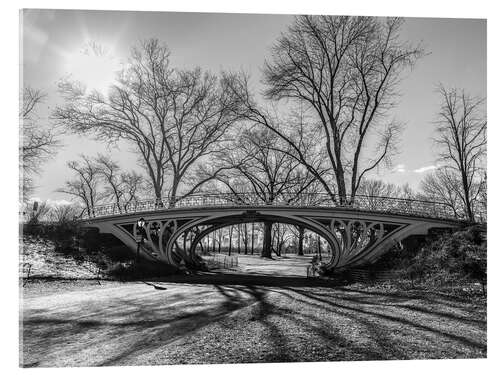 Stampa su vetro acrilico Central park Gothic bridge