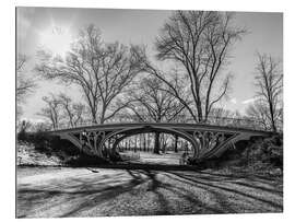 Galleriataulu Central park Gothic bridge