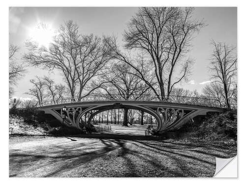 Naklejka na ścianę Central park Gothic bridge