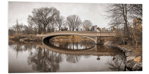 PVC-taulu Central park bow bridge