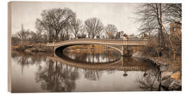 Cuadro de madera Central park bow bridge