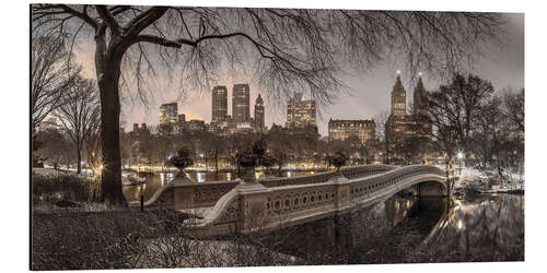 Tableau en aluminium Central park bow bridge