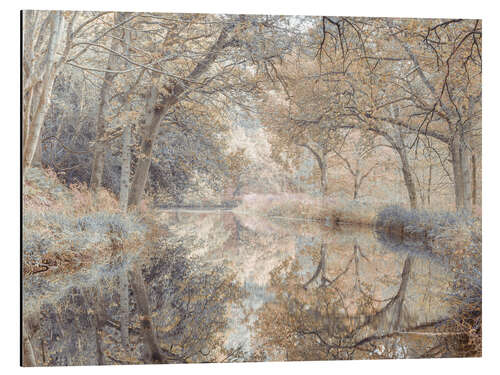 Aluminium print Forest Canal