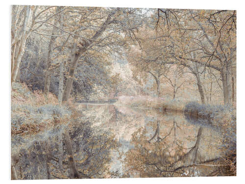 Foam board print Forest Canal