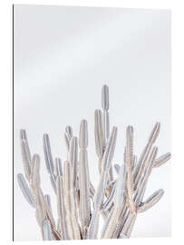 Gallery print White Cacti