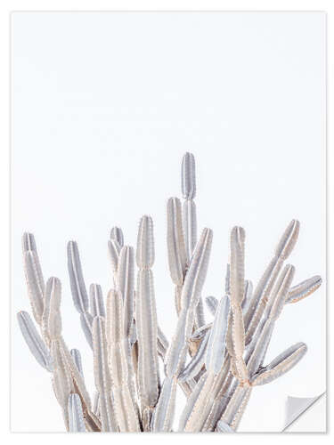 Sticker mural White Cacti