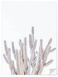 Sticker mural White Cacti