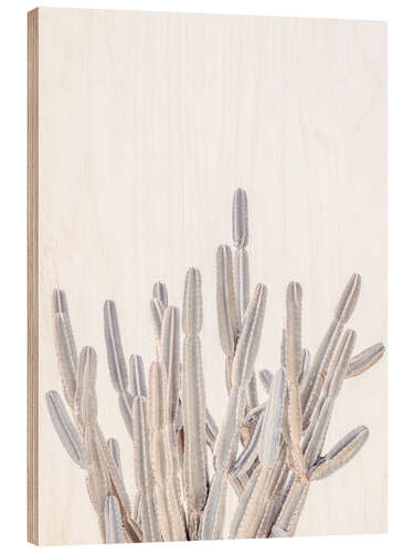 Cuadro de madera White Cacti