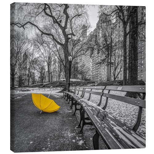 Canvas-taulu Umbrella in the park