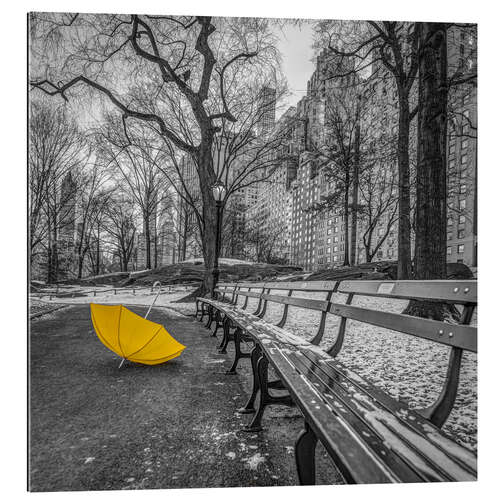 Gallery print Umbrella in the park