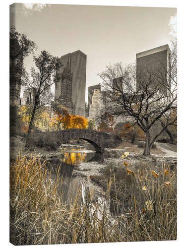 Canvas print Gapstow Bridge