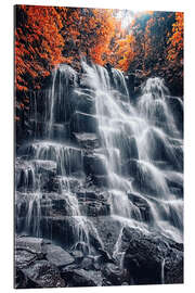 Gallery print Waterfall