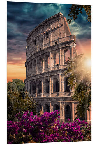 Foam board print Flavian Amphitheatre