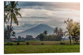 Aluminium print Bali Landscape