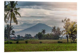 Foam board print Bali Landscape