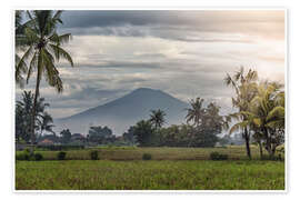Wandbild  Landschaft von Bali - Manjik Pictures