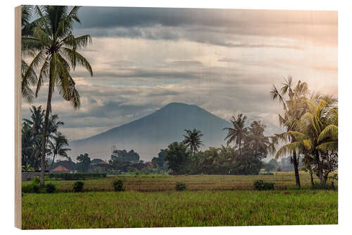 Trätavla Bali Landscape