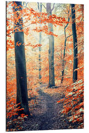 Obraz na aluminium Into the wood - Manjik Pictures