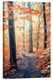 Canvas print Into the wood