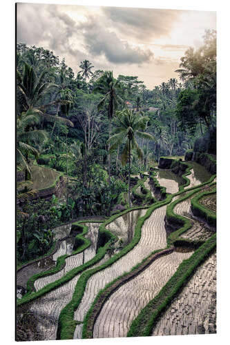 Aluminium print Ubud Countryside