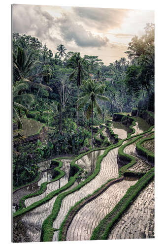 Galleriataulu Ubud Countryside