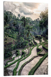 Gallery print Ubud Countryside