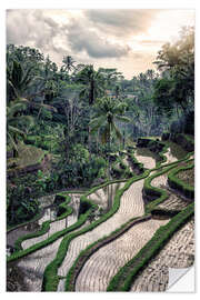 Selvklebende plakat Ubud Countryside