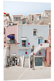 Foam board print Procida Island Houses, Italy