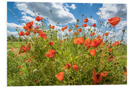 Hartschaumbild Sommerliche Mohnblumen