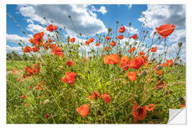 Muursticker Summer poppies