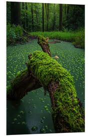 Hartschaumbild Hexerei im Wald