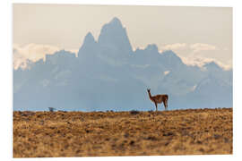 Tableau en PVC Alpaca in front of the Fitz Roy in Patagonia