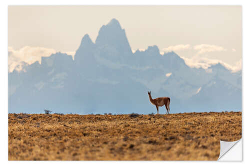 Wandsticker Alpaka vor dem Fitz Roy in Patagonien