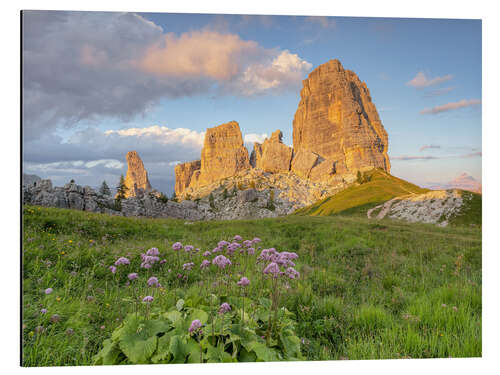 Stampa su alluminio Cinque Torri in the Dolomites