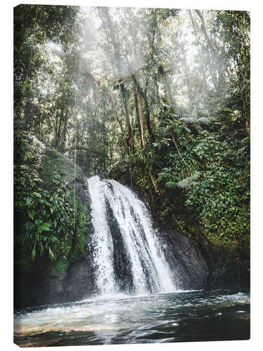 Leinwandbild Karibischer Wasserfall