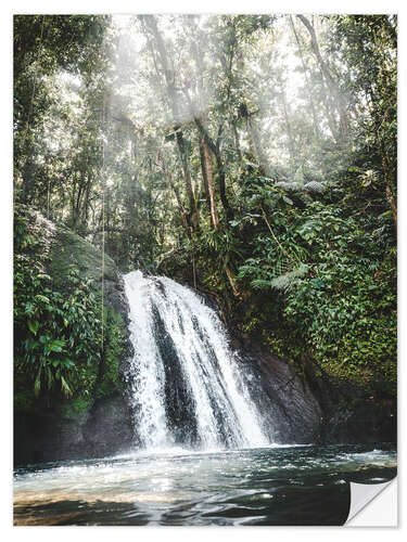 Selvklebende plakat Caribbean Waterfall