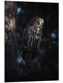 Quadro em alumínio The great grey owl