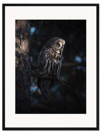 Gerahmter Kunstdruck Die große graue Eule
